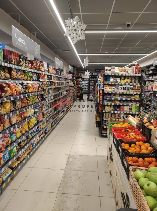Продажа торгового помещения с супермаркетом Магнолия