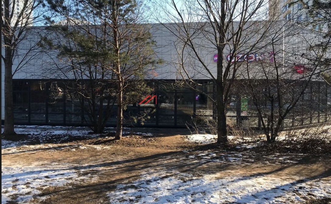 Продажа торгового здания с сетевыми арендаторами 