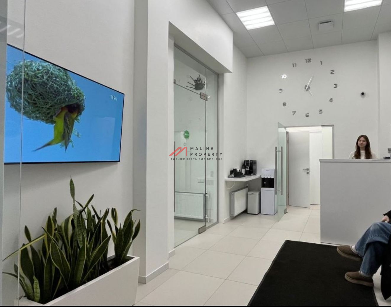 Продажа помещения под стоматологию в ЖК Белая Дача парк