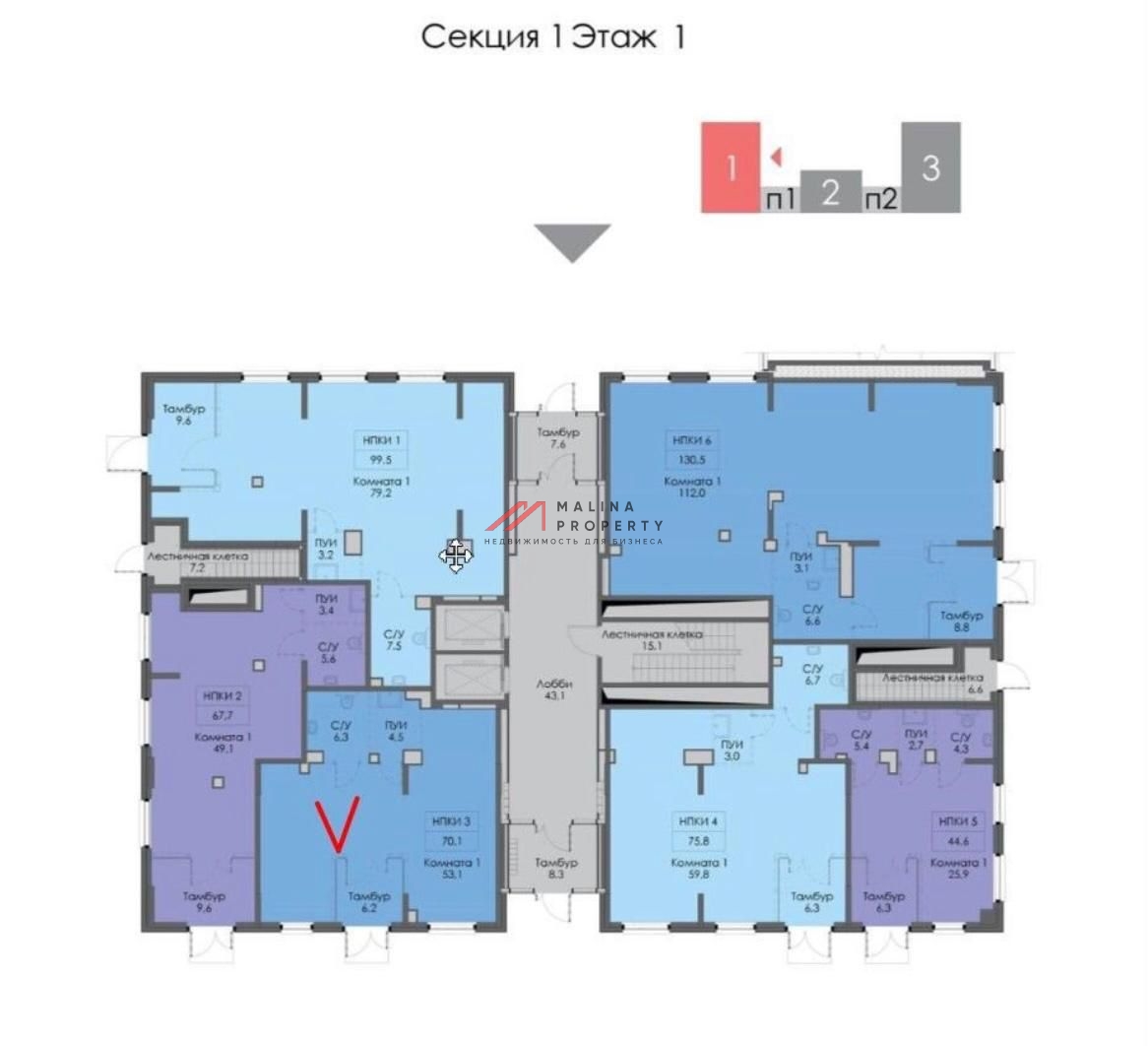 Аренда торгового помещения в ЖК Ильинские луга