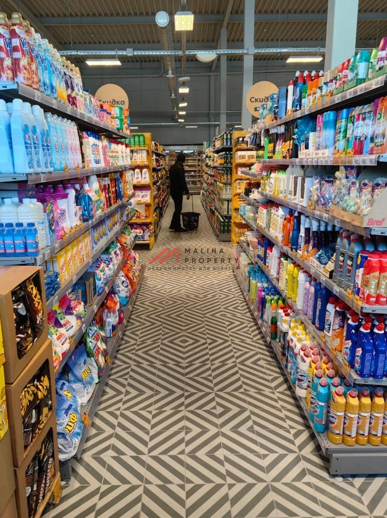 Продажа здания с сетевыми арендаторами в Новой Москве  