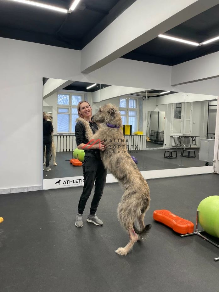 Продажа нежилого помещения с арендаторами на Варшавском шоссе