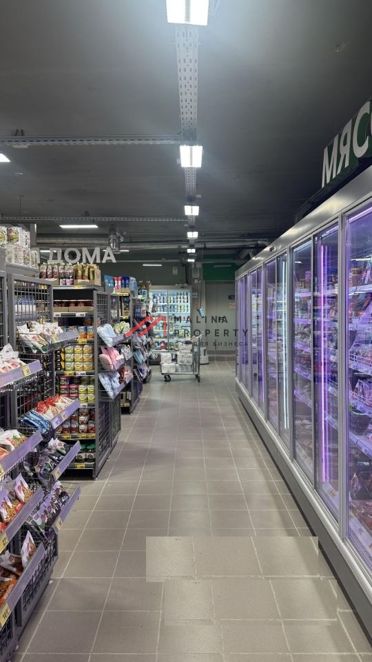 Продажа торгового помещения с Пятерочкой 