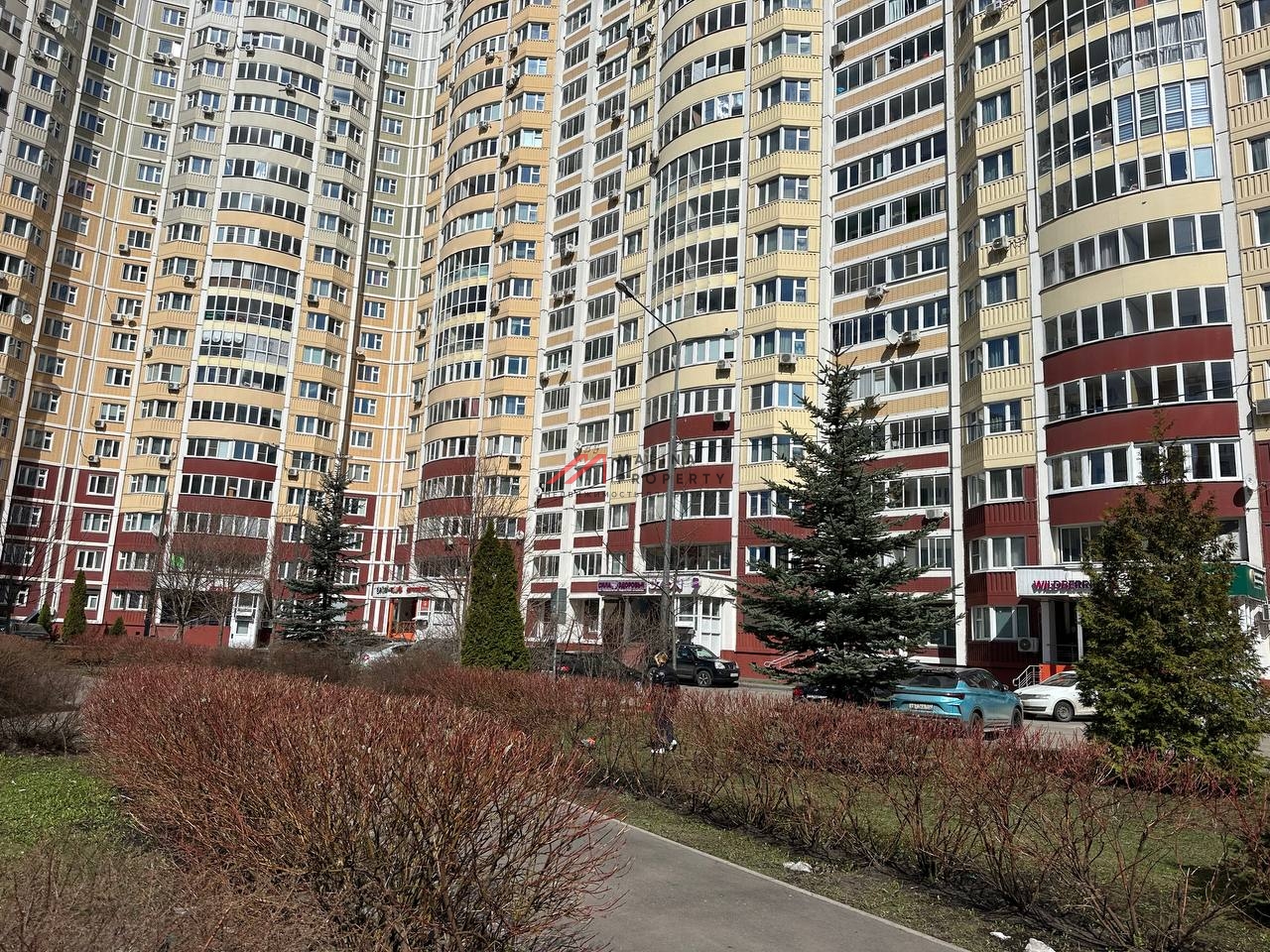 Аренда торгового помещения в районе метро Рассказовка