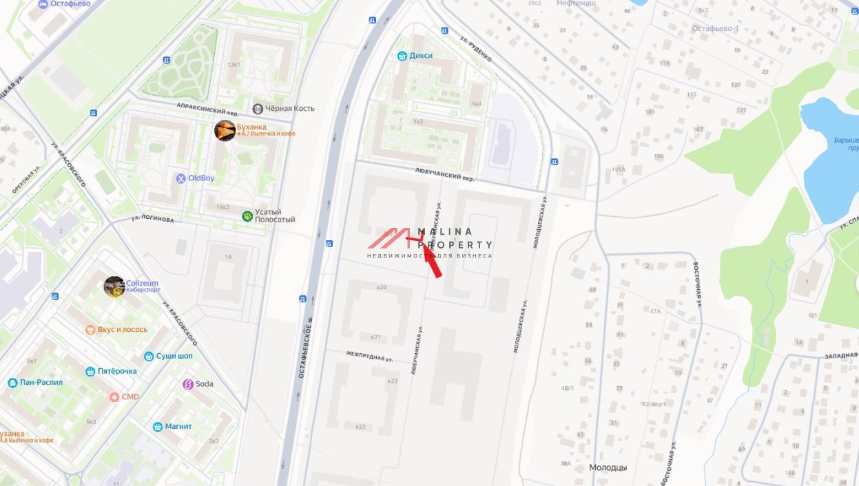 Аренда торгового помещения в Остафьево