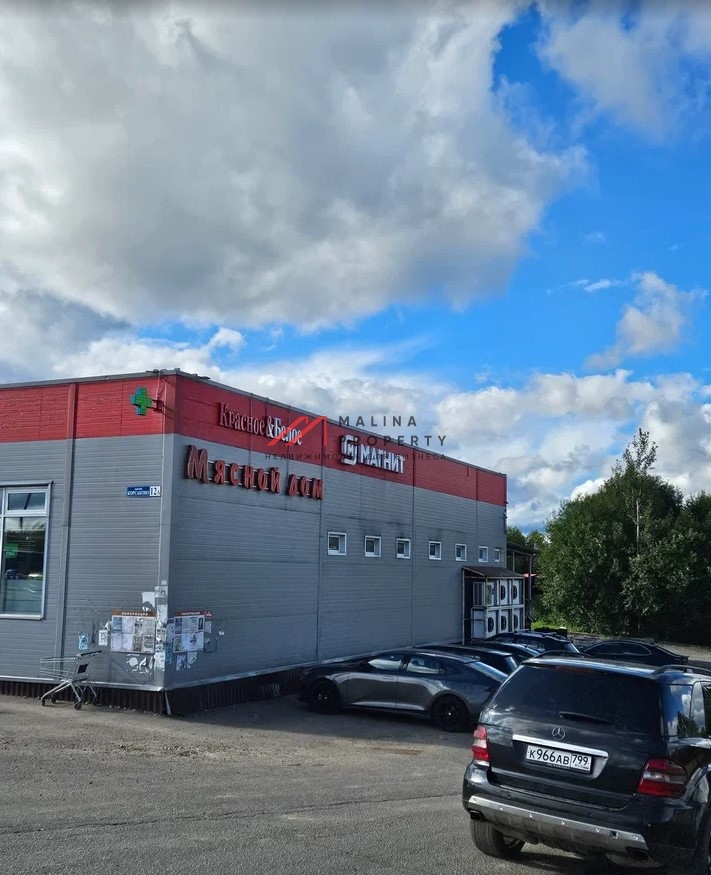 Продажа торгового здания с арендаторами в г. Истра 