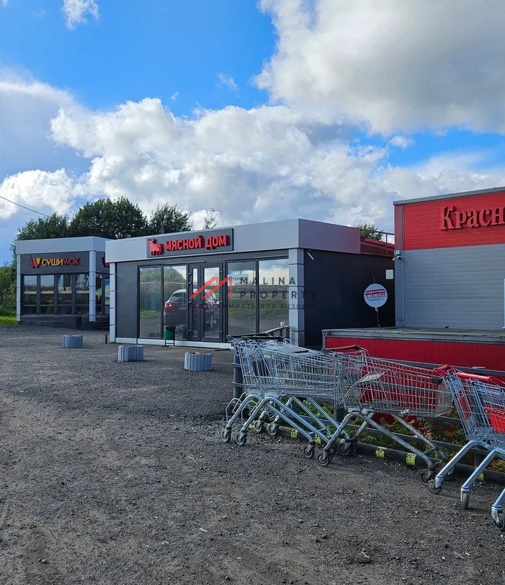 Продажа торгового здания с арендаторами в г. Истра 