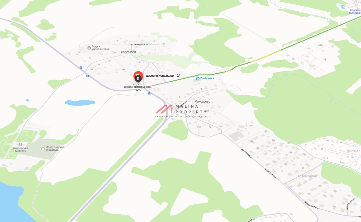 Продажа торгового здания с арендаторами в г. Истра 