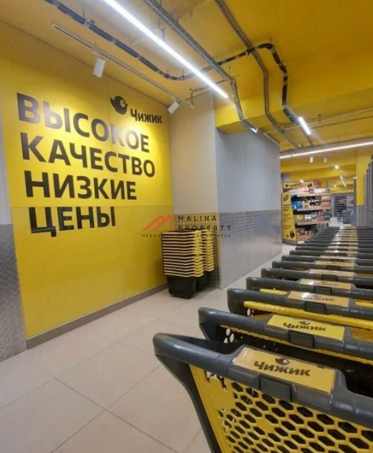 Продажа торгового помещения с магазином Чижик 