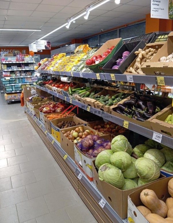 Продажа помещения с арендатором Дикси в Подольске 