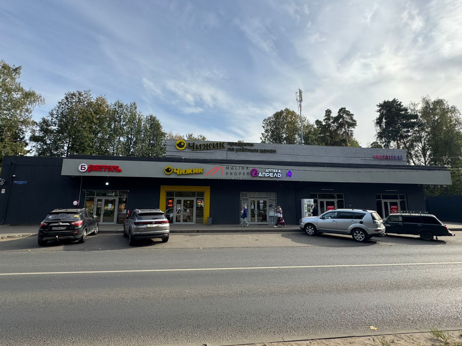 Продажа торгового здания с арендаторами в Пушкино