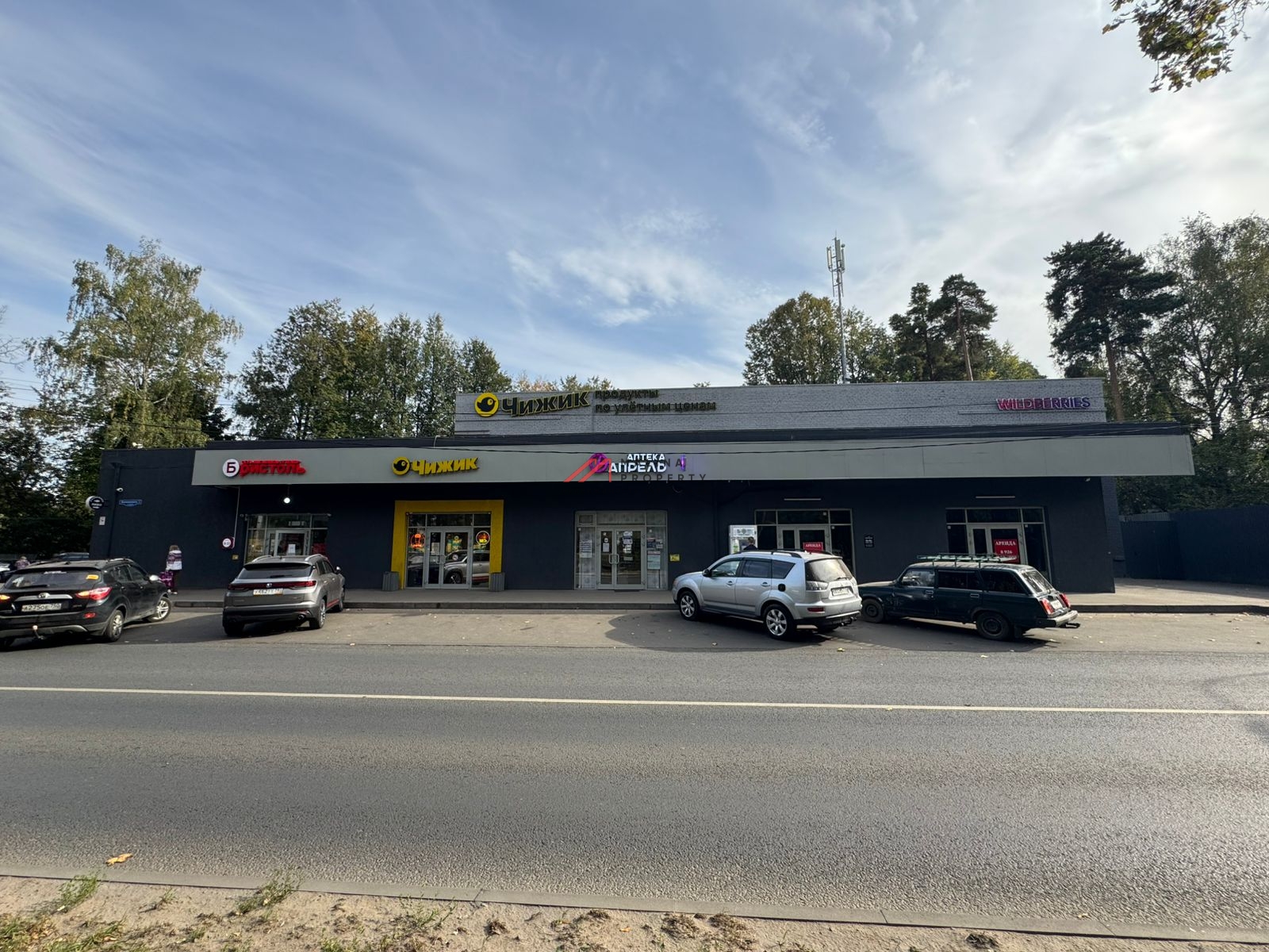 Продажа торгового здания с арендаторами в Пушкино