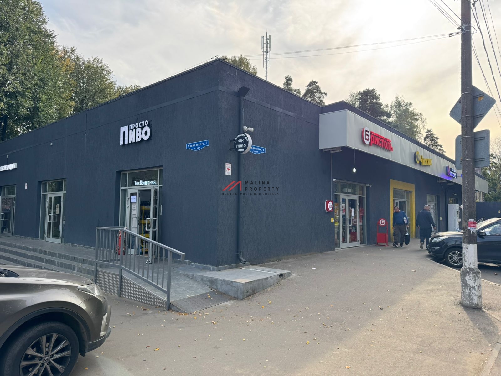 Продажа торгового здания с арендаторами в Пушкино