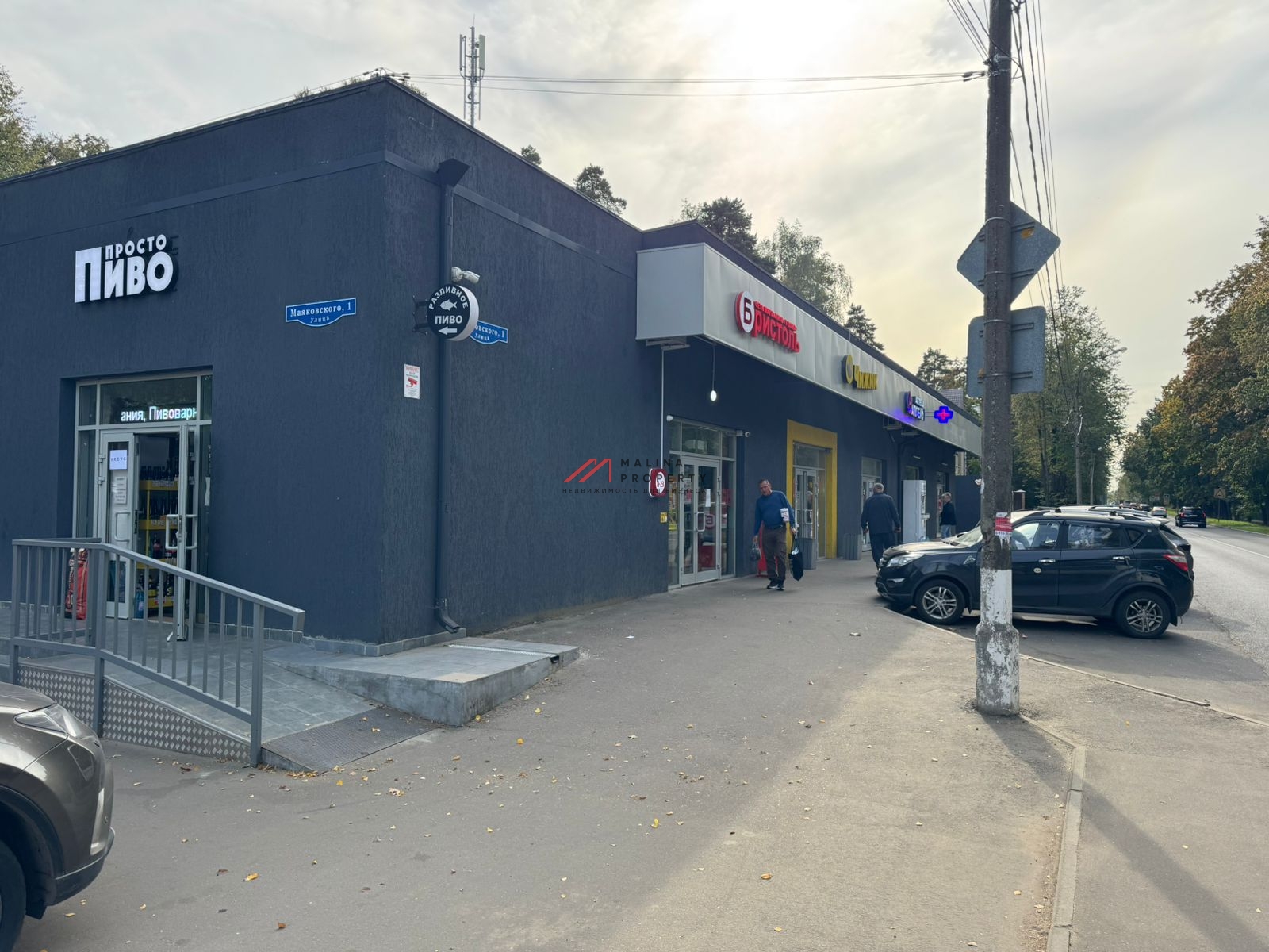 Продажа торгового здания с арендаторами в Пушкино