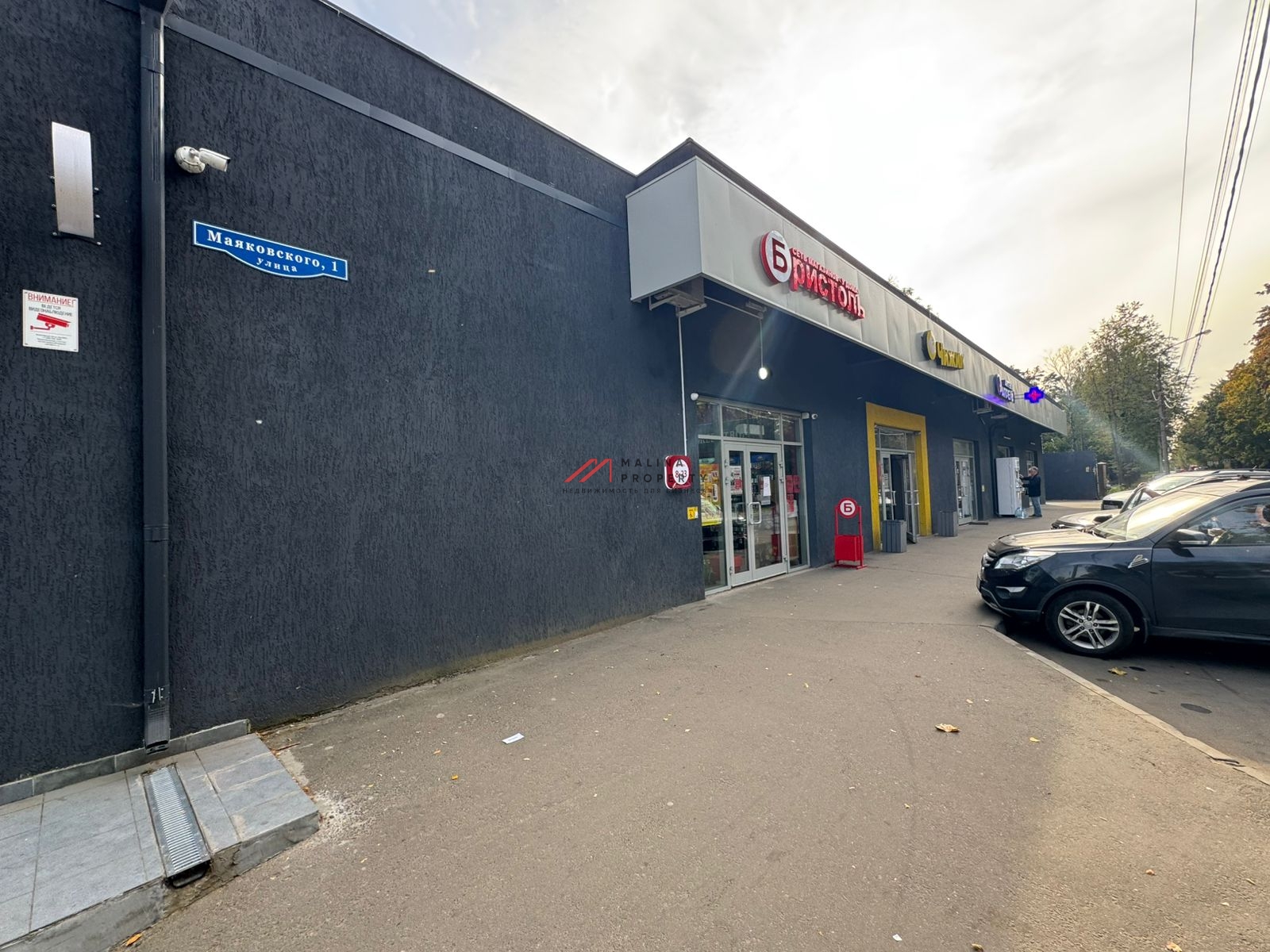 Продажа торгового здания с арендаторами в Пушкино