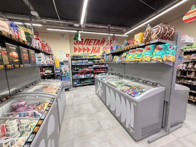 Продажа помещения с арендатором «Пятерочка Налету»