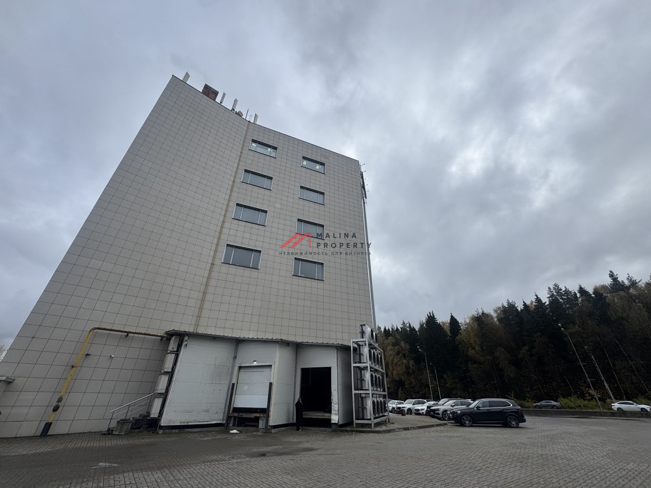 Аренда торгового помещения в Торговом центра в Красногорске