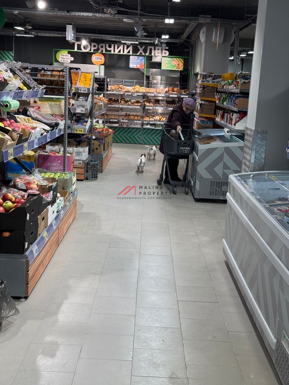 Продажа торгового помещения с супермаркетом Пятерочка