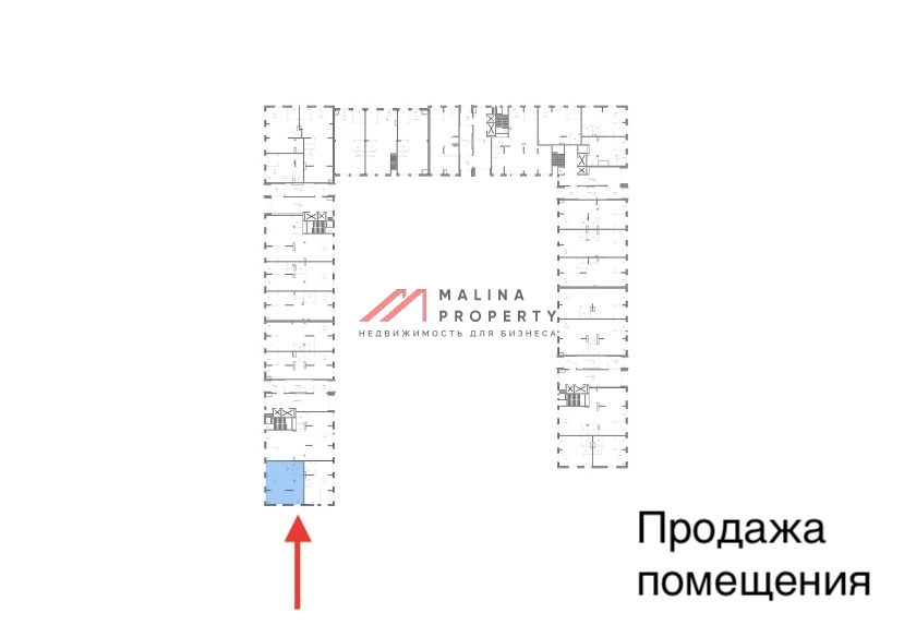 Аренда торгового помещения в ЖК "Квартал Ивакино" 