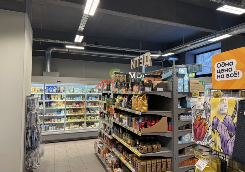 Продажа помещения с супермаркетом Пятёрочка