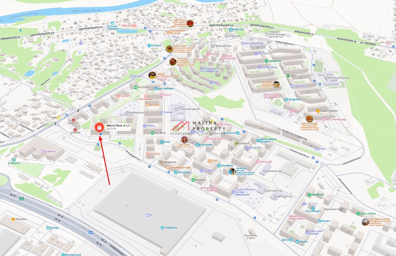 Аренда торгового помещения в ЖК Ильинские Луга