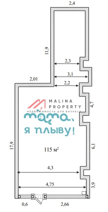 Продажа помещения с арендатором Мама я плыву 
