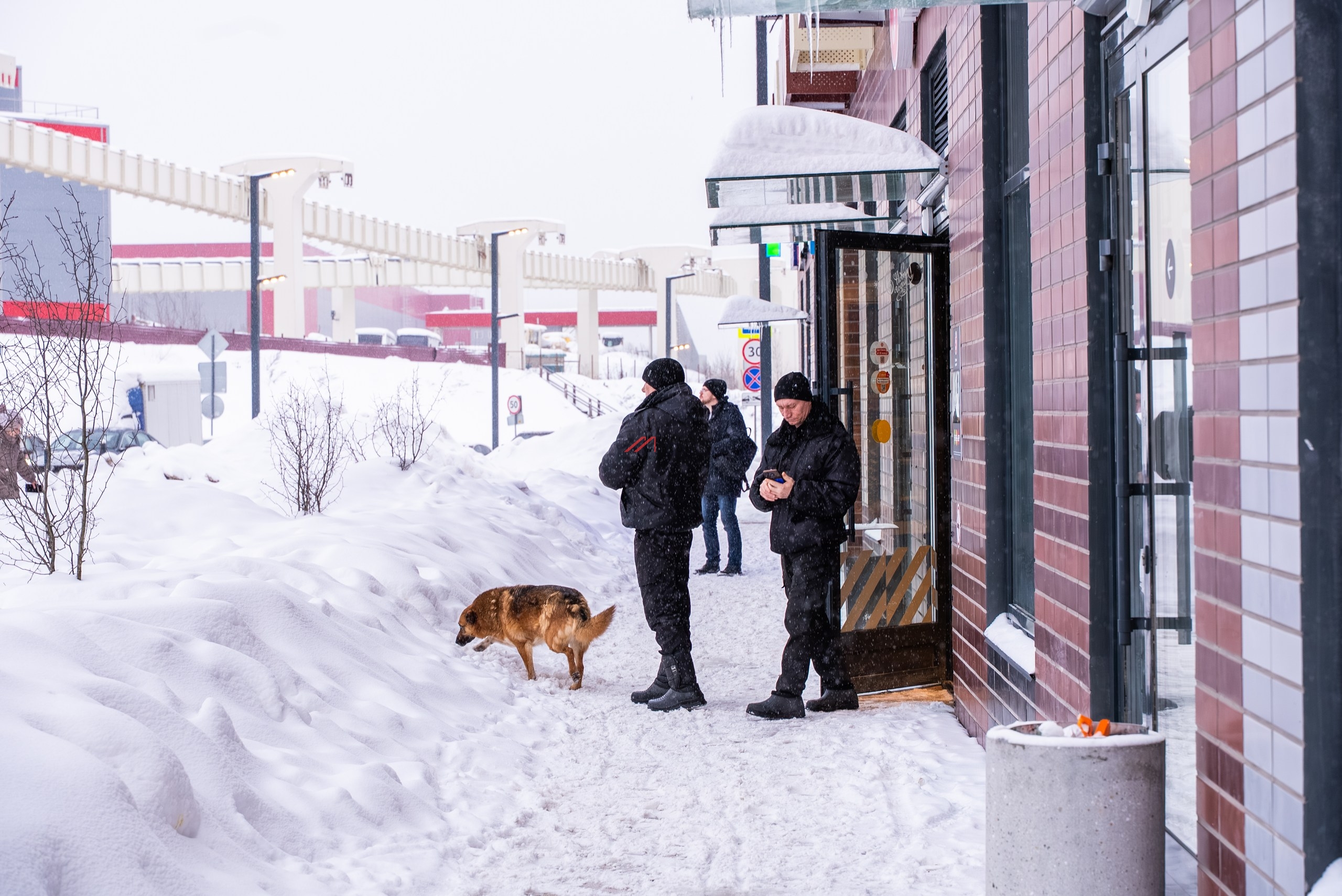 Продажа помещения с сетевыми арендаторами в ЖК Ильинские луга