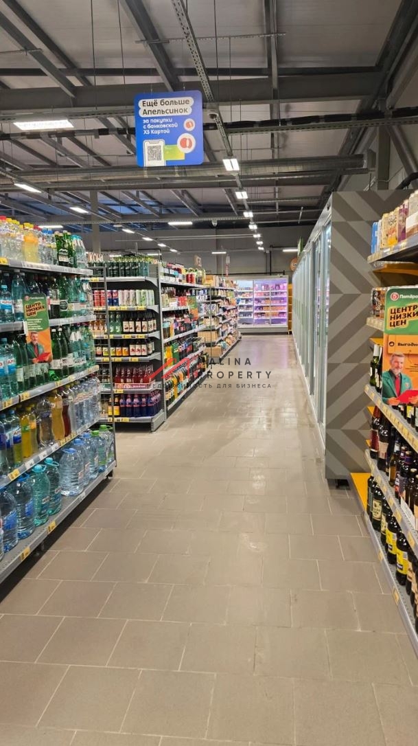 Продажа здания с арендаторами в г. Чехов