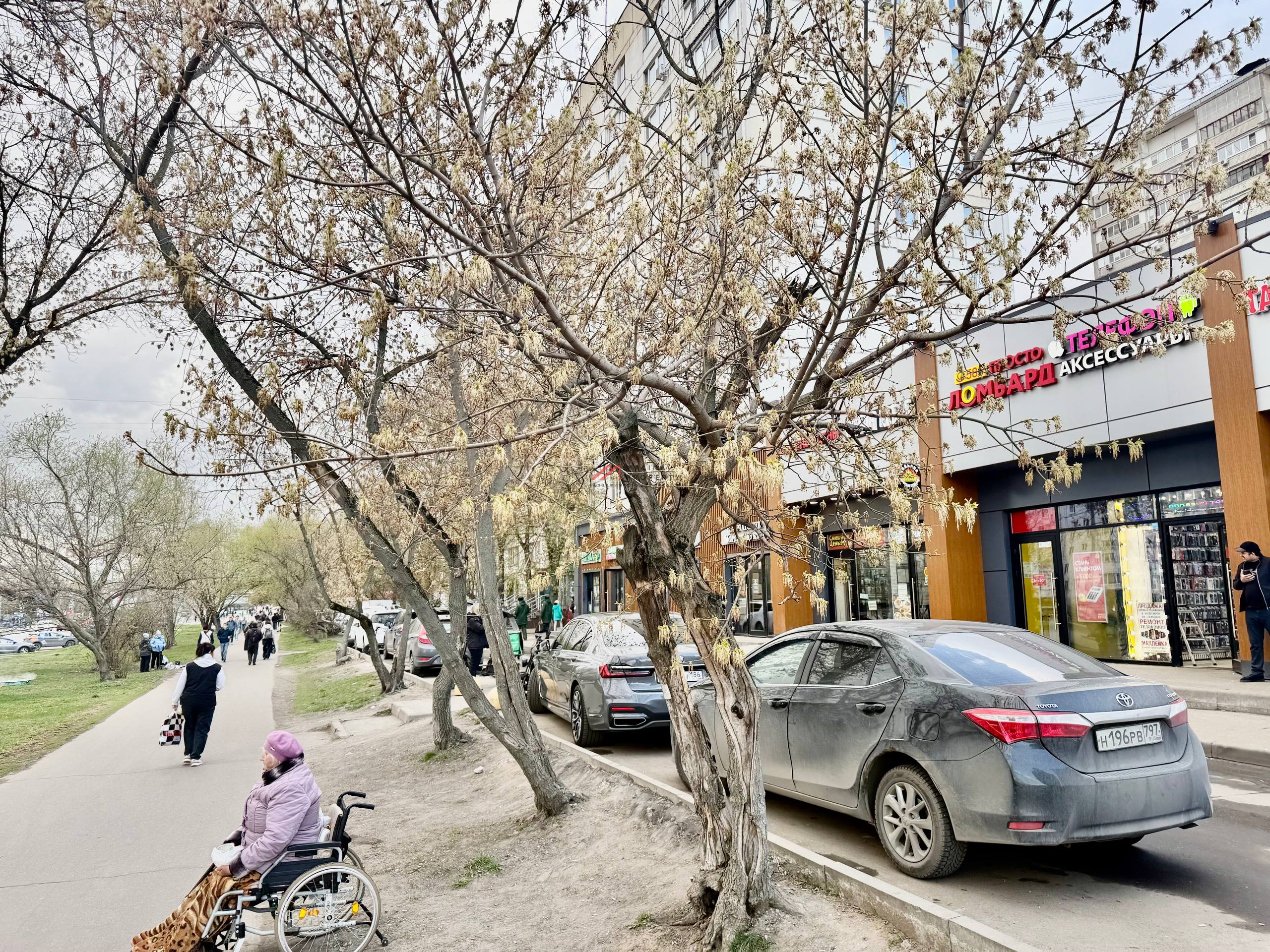 Продажа торгового помещения с арендатором в Люблино