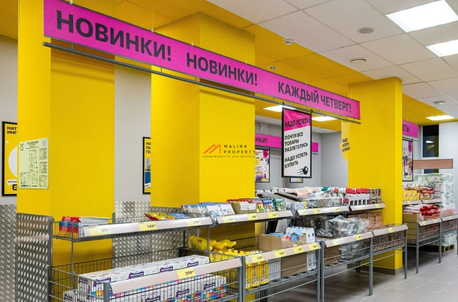 Продажа здания с магазином Чижик в г. Истра