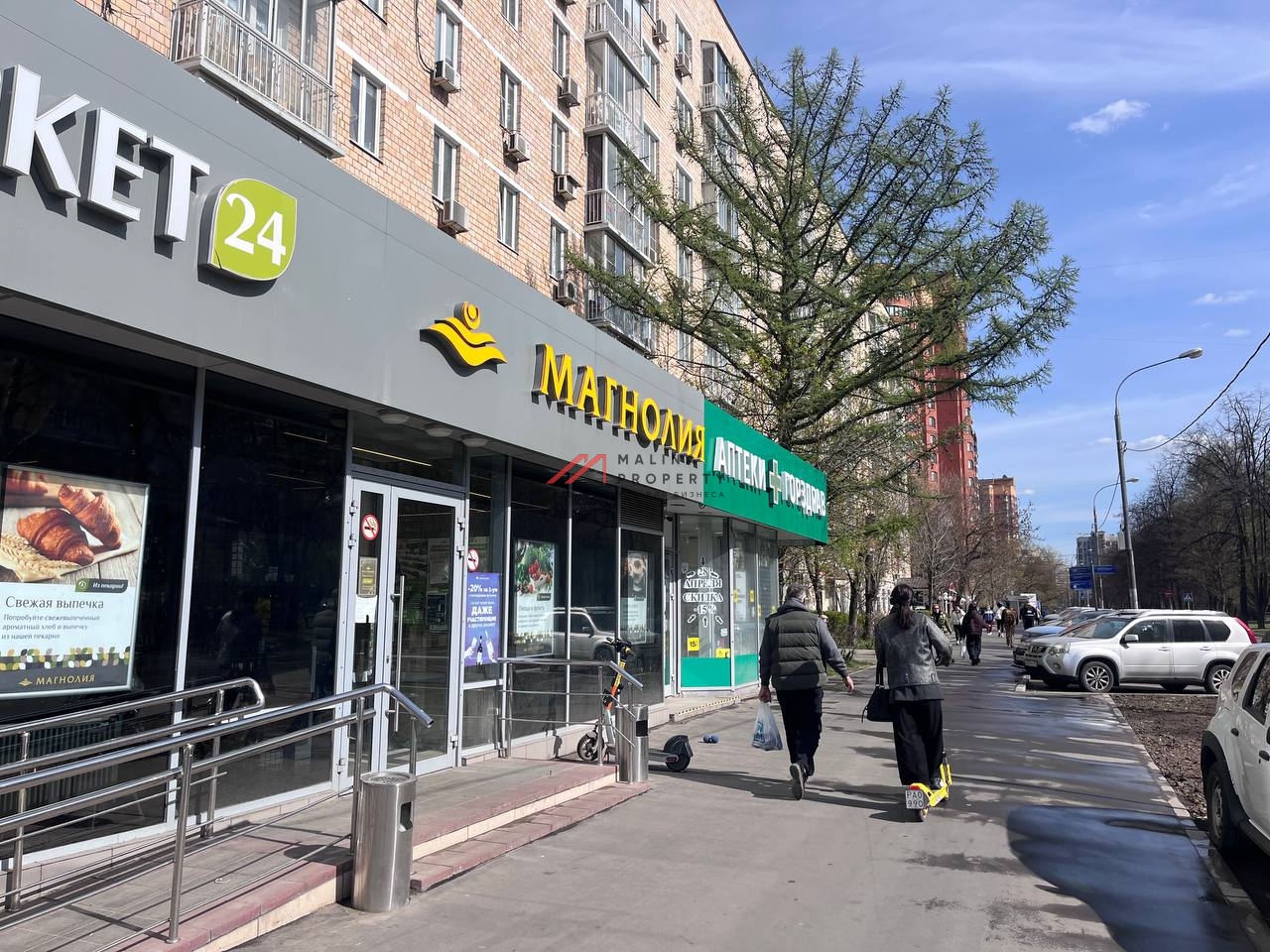 Продажа помещения c Магнолией