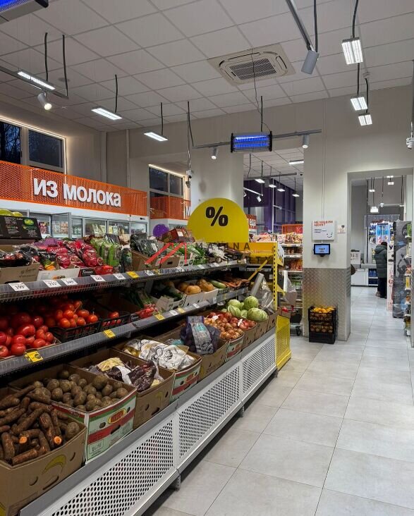 Продажа торгового помещения с супермаркетом Дикси 