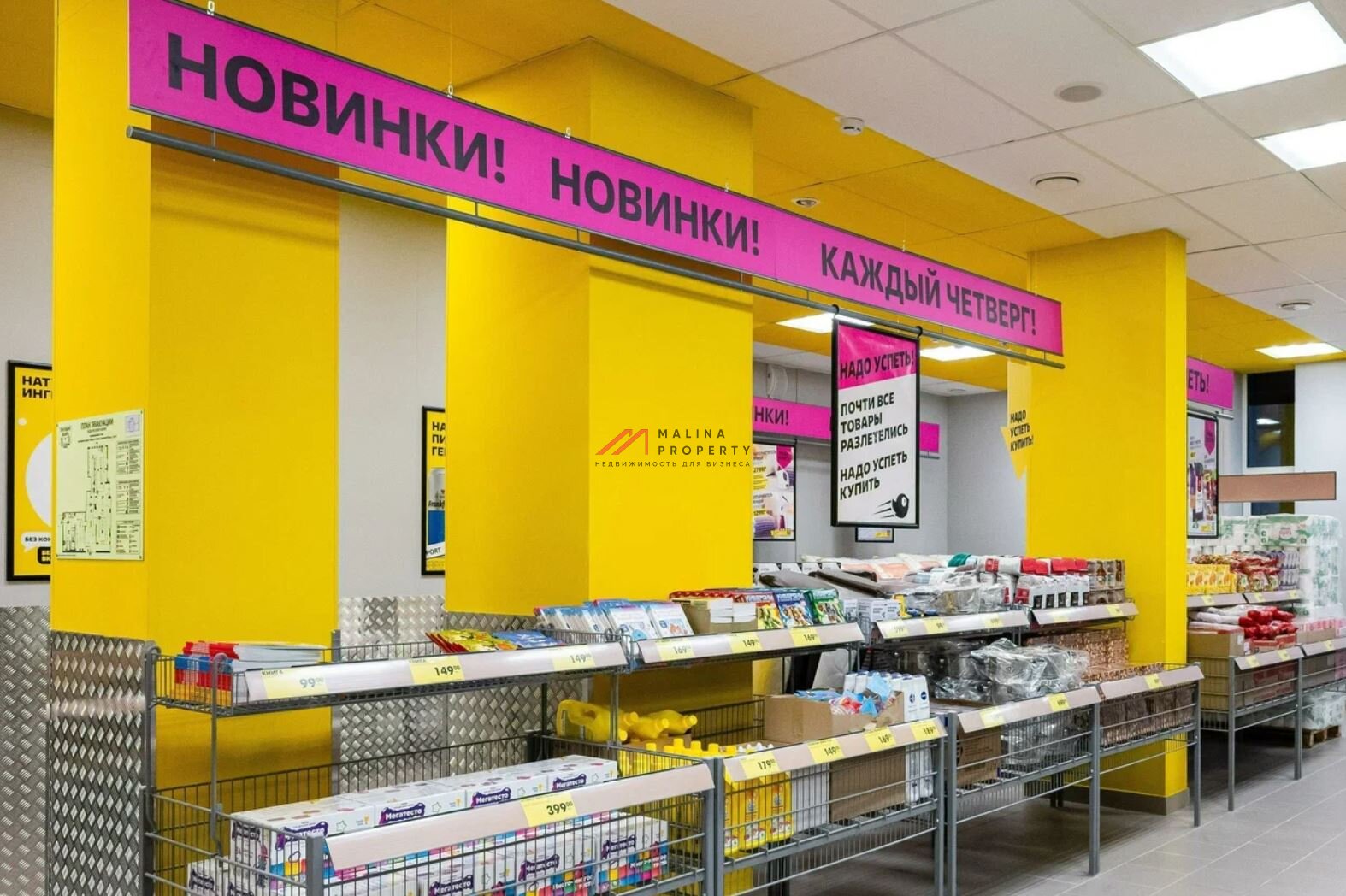 Продажа помещения с арендатором магазин "Чижик" на Адмирала Руднева