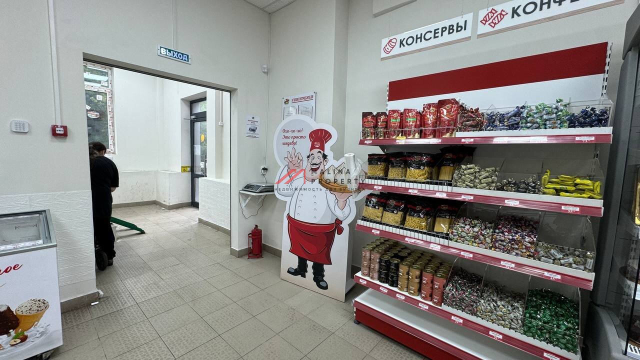Продажа торгового помещения с магазином Ермолино