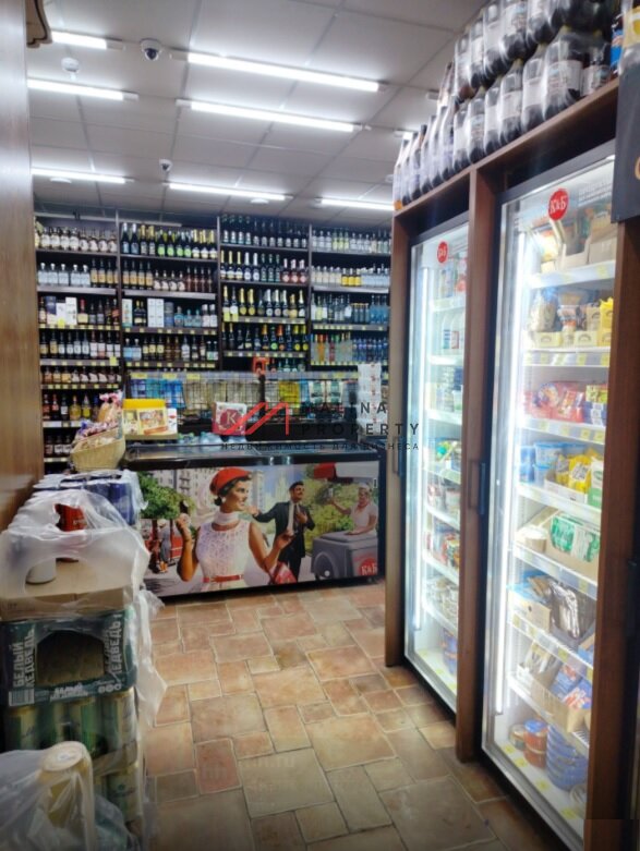 Продажа помещения с арендаторами в г. Электросталь 