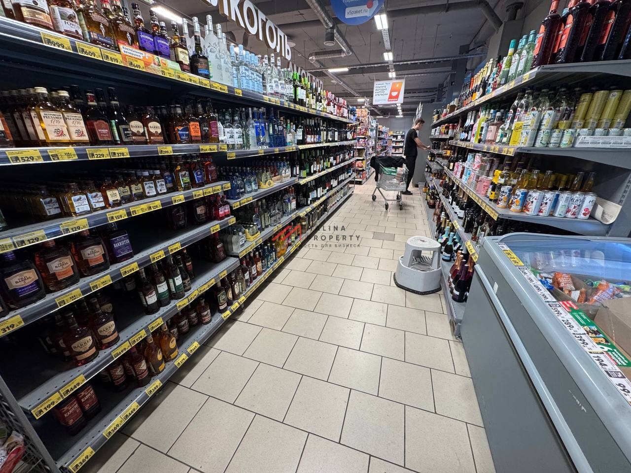 Продажа торгового здания с арендаторами