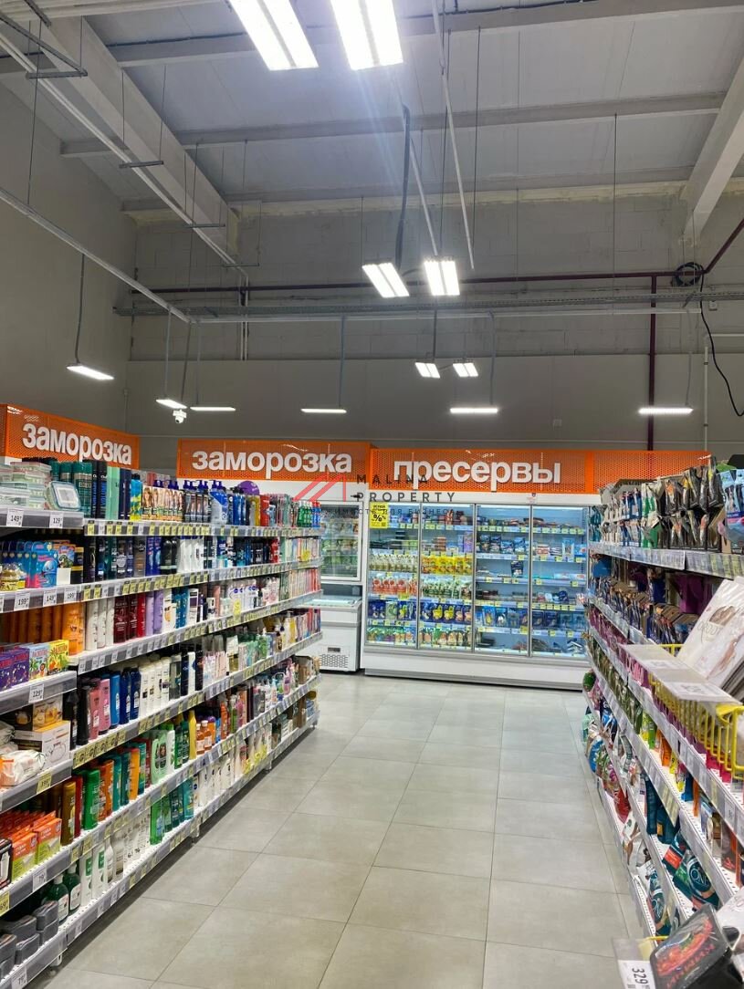Продажа здания с арендаторами в г. Домодедово