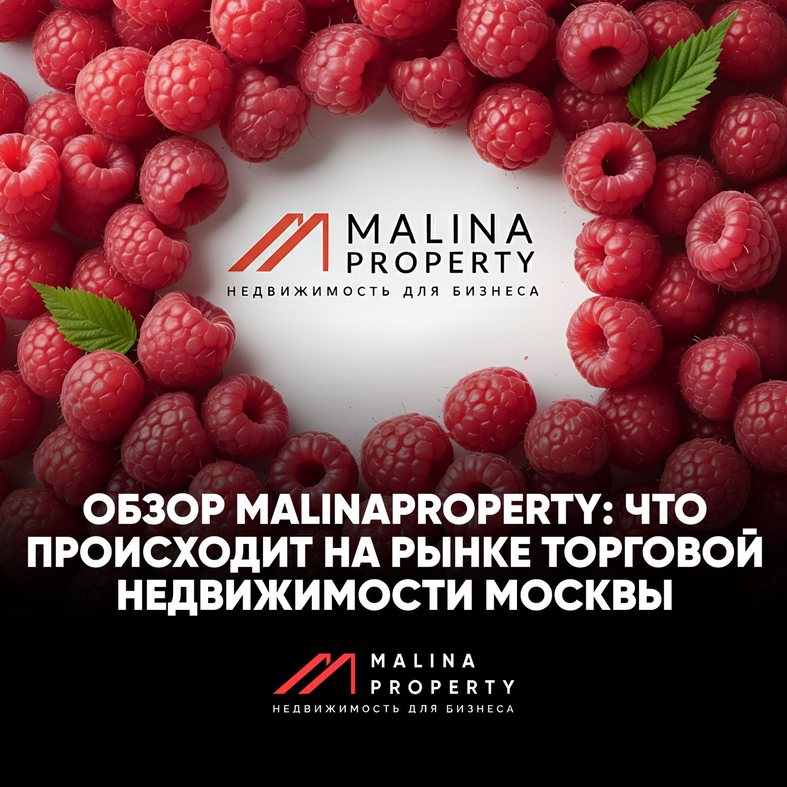Обзор торговой недвижимости от MalinaProperty