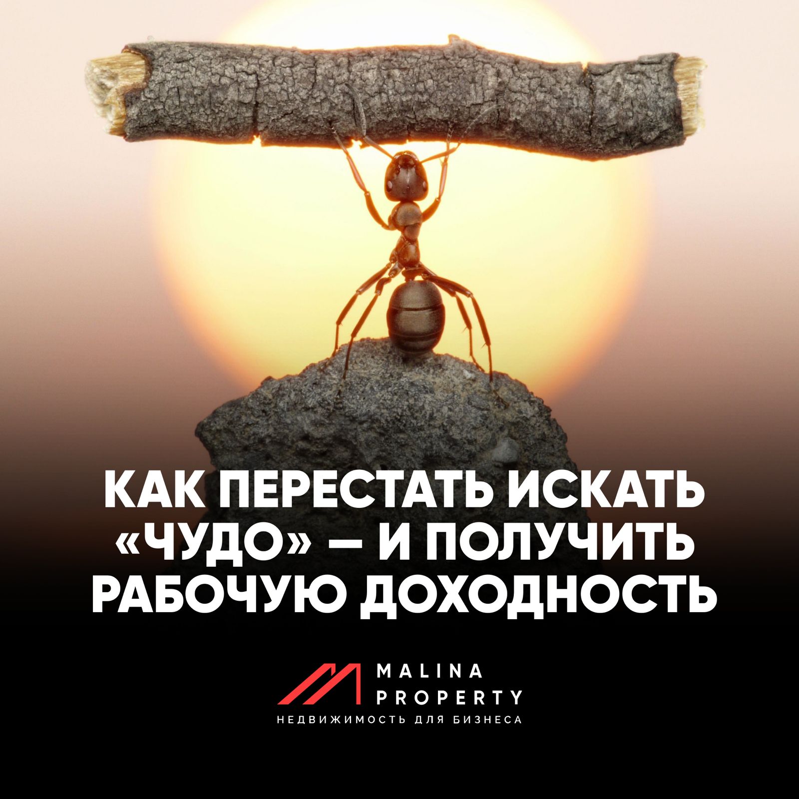 Как перестать искать «чудо» — и получить рабочую доходность