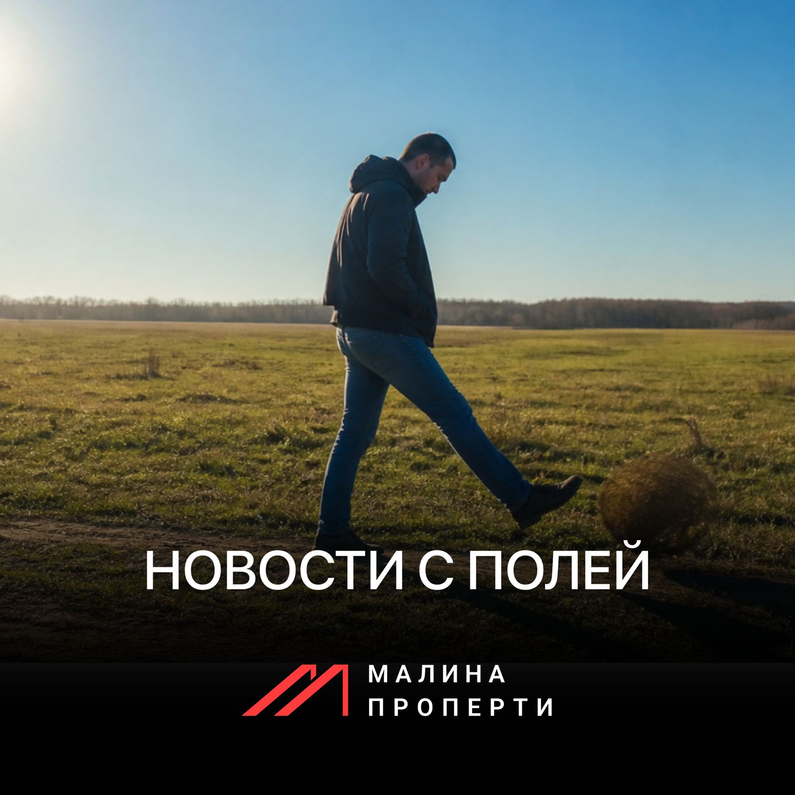 Новость с полей. 