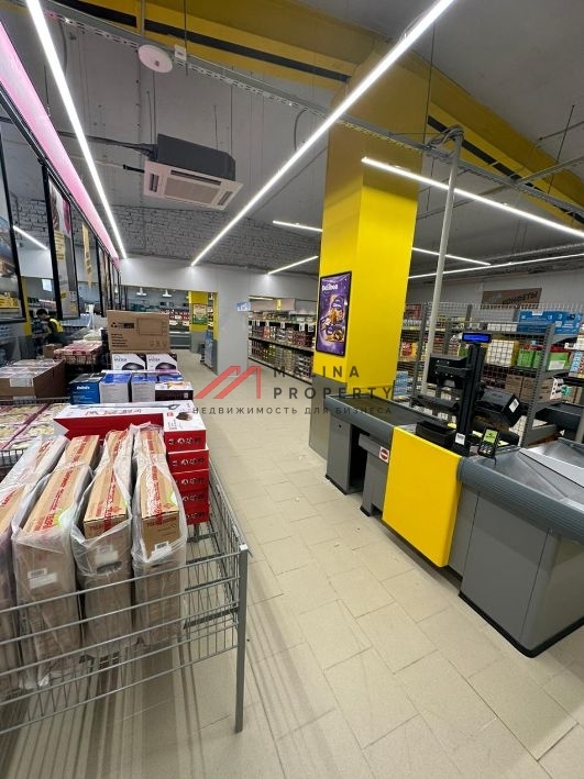 Продажа торгового здания с супермаркетом Чижик