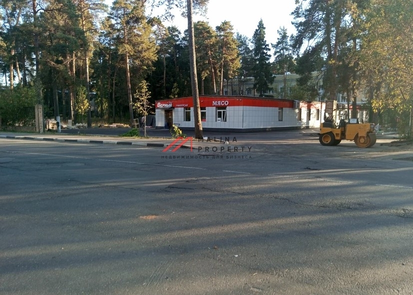 Продажа торгового здания с сетевыми арендаторами