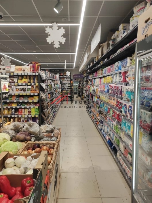 Продажа торгового помещения с супермаркетом Магнолия