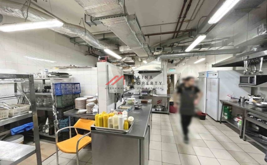 Аренда торгового помещения в БЦ "Hermitage Plaza"