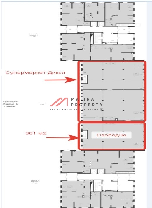 Аренда коммерческого помещения в ЖК "Пригород Лесное"