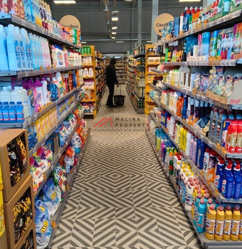 Продажа здания с сетевыми арендаторами в Новой Москве  