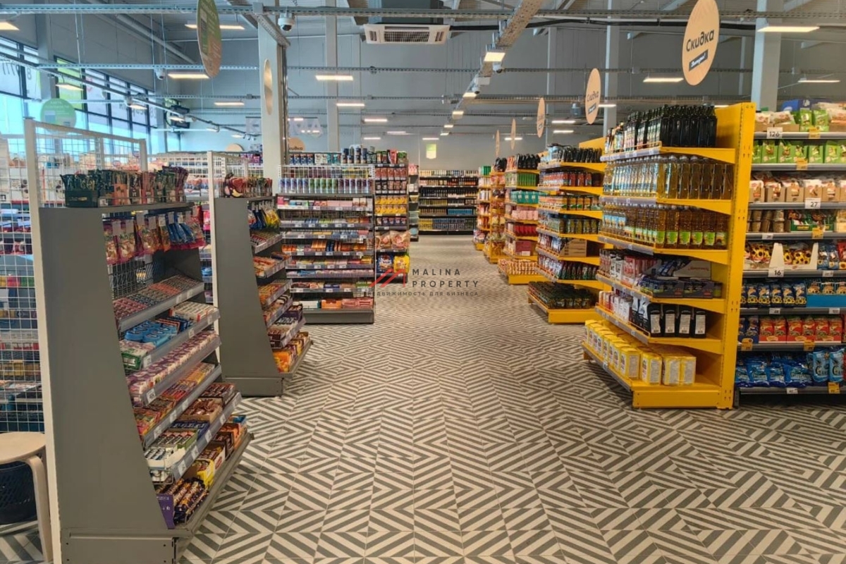 Продажа здания с сетевыми арендаторами в Новой Москве  