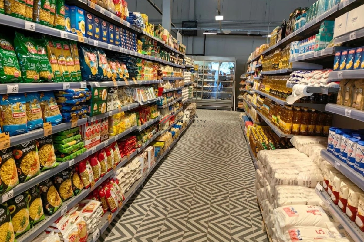 Продажа здания с сетевыми арендаторами в Новой Москве  