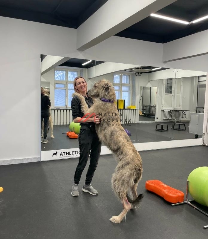 Продажа нежилого помещения с арендаторами на Варшавском шоссе