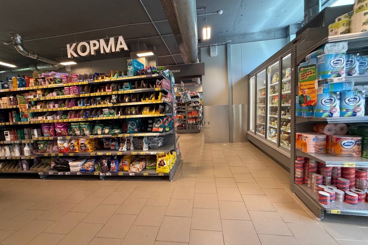 Продажа помещения с супермаркетом Пятёрочка